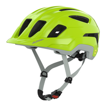 Alpina PARANUS MIPS be-visible grey matt | 55-59